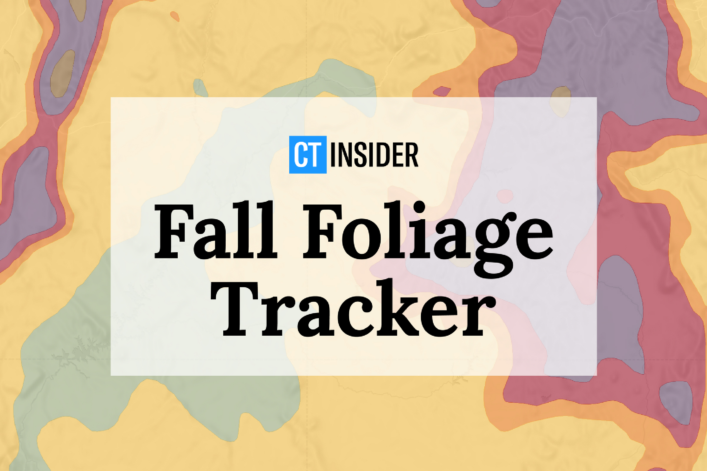 Promo image for CT Insider's fall foliage tracker.
